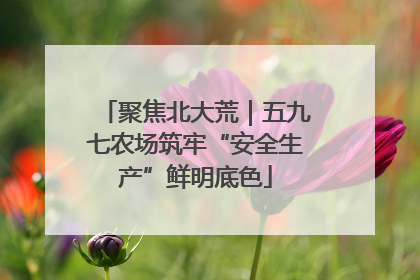 聚焦北大荒｜五九七农场筑牢“安全生产”鲜明底色
