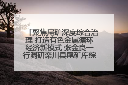 聚焦尾矿深度综合治理 打造有色金属循环经济新模式 张金良一行调研栾川县尾矿库综合治理工作