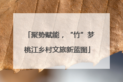 聚势赋能，“竹”梦桃江乡村文旅新蓝图