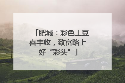 肥城：彩色土豆喜丰收，致富路上好“彩头”