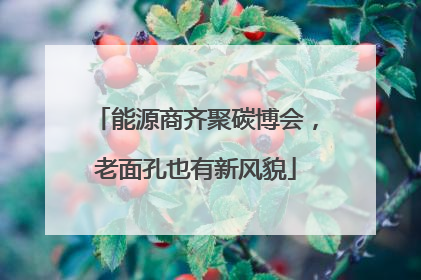 能源商齐聚碳博会，老面孔也有新风貌