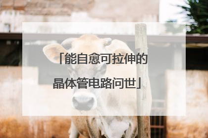 能自愈可拉伸的晶体管电路问世