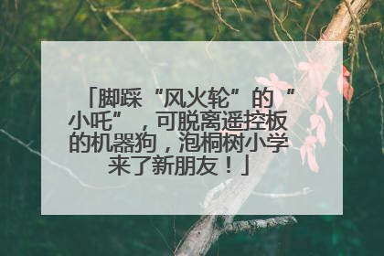 脚踩“风火轮”的“小吒”，可脱离遥控板的机器狗，泡桐树小学来了新朋友！