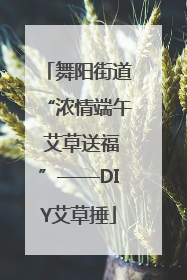 舞阳街道“浓情端午 艾草送福”——DIY艾草捶