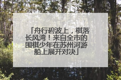 舟行碧波上，棋落长风湾！来自全市的围棋少年在苏州河游船上展开对决