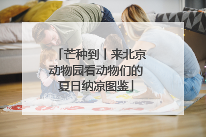 芒种到丨来北京动物园看动物们的夏日纳凉图鉴