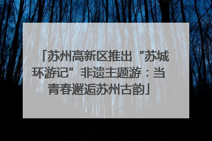 苏州高新区推出“苏城环游记”非遗主题游：当青春邂逅苏州古韵