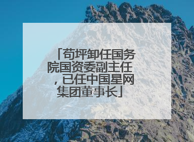 苟坪卸任国务院国资委副主任，已任中国星网集团董事长