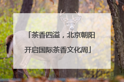 茶香四溢，北京朝阳开启国际茶香文化周