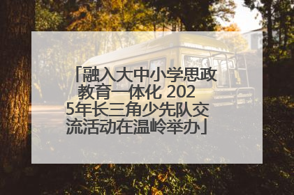 融入大中小学思政教育一体化 2025年长三角少先队交流活动在温岭举办
