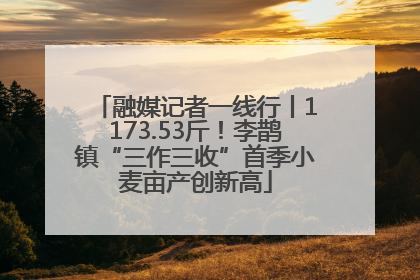 融媒记者一线行丨1173.53斤！李鹊镇“三作三收”首季小麦亩产创新高