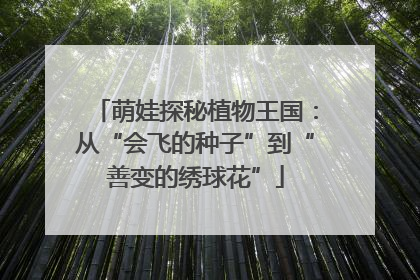 萌娃探秘植物王国：从“会飞的种子”到“善变的绣球花”
