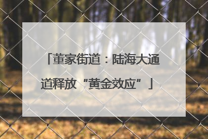 董家街道：陆海大通道释放“黄金效应”