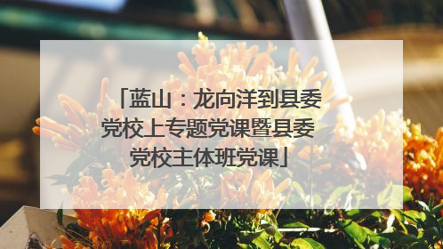 蓝山：龙向洋到县委党校上专题党课暨县委党校主体班党课