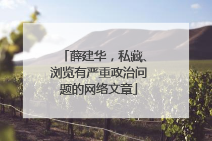 薛建华，私藏、浏览有严重政治问题的网络文章