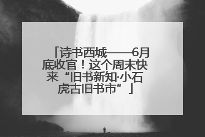 诗书西城——6月底收官！这个周末快来“旧书新知·小石虎古旧书市”