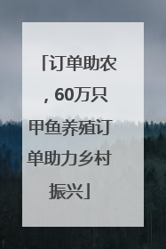 订单助农，60万只甲鱼养殖订单助力乡村振兴