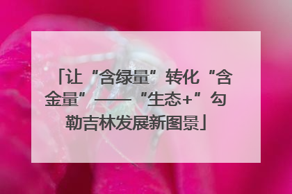 让“含绿量”转化“含金量”——“生态+”勾勒吉林发展新图景
