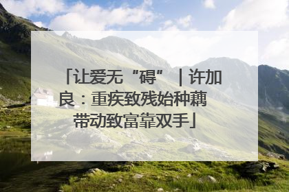 让爱无“碍”｜许加良：重疾致残始种藕 带动致富靠双手