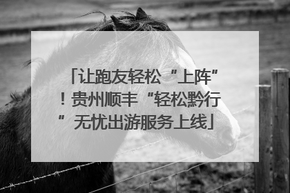 让跑友轻松“上阵”！贵州顺丰“轻松黔行”无忧出游服务上线