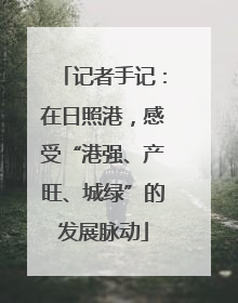 记者手记：在日照港，感受“港强、产旺、城绿”的发展脉动