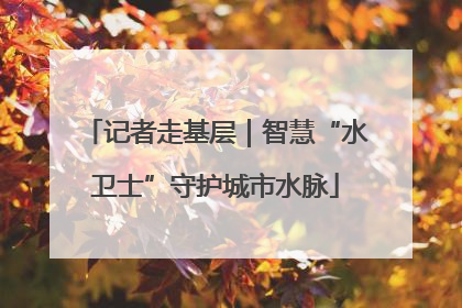 记者走基层｜智慧“水卫士”守护城市水脉