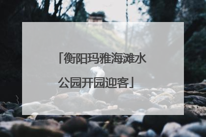 衡阳玛雅海滩水公园开园迎客