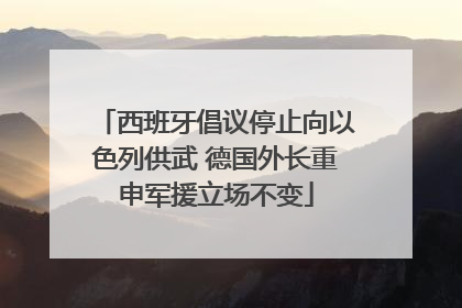 西班牙倡议停止向以色列供武 德国外长重申军援立场不变