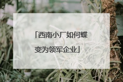 西南小厂如何蝶变为领军企业