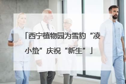 西宁植物园为雪豹“凌小蛰”庆祝“新生”