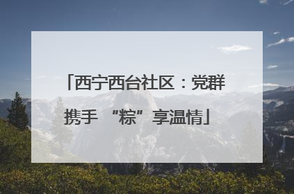 西宁西台社区：党群携手 “粽”享温情