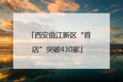 西安曲江新区“首店”突破430家