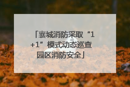 襄城消防采取“1+1”模式动态巡查园区消防安全