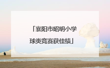 襄阳市昭明小学球类竞赛获佳绩