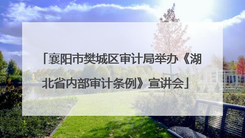 襄阳市樊城区审计局举办《湖北省内部审计条例》宣讲会