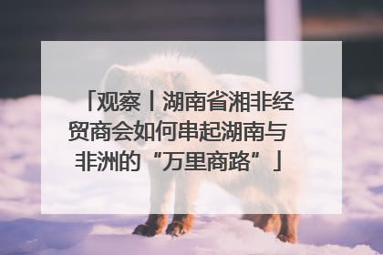 观察丨湖南省湘非经贸商会如何串起湖南与非洲的“万里商路”