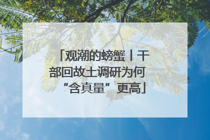 观潮的螃蟹丨干部回故土调研为何“含真量”更高