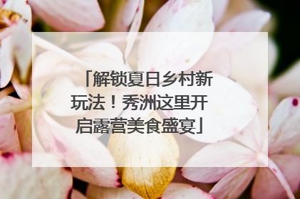 解锁夏日乡村新玩法！秀洲这里开启露营美食盛宴