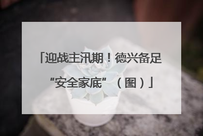 迎战主汛期！德兴备足“安全家底”（图）