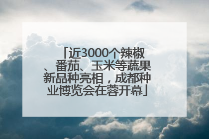 近3000个辣椒、番茄、玉米等蔬果新品种亮相，成都种业博览会在蓉开幕