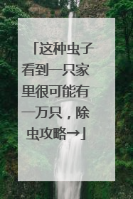 这种虫子看到一只家里很可能有一万只，除虫攻略→