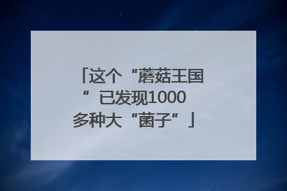 这个“蘑菇王国”已发现1000多种大“菌子”