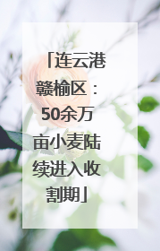 连云港赣榆区：50余万亩小麦陆续进入收割期