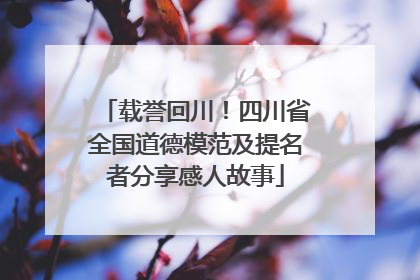 载誉回川！四川省全国道德模范及提名者分享感人故事