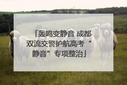 轰鸣变静音 成都双流交警护航高考“静音”专项整治