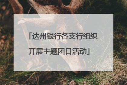 达州银行各支行组织开展主题团日活动