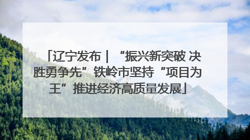辽宁发布｜“振兴新突破 决胜勇争先”铁岭市坚持“项目为王”推进经济高质量发展