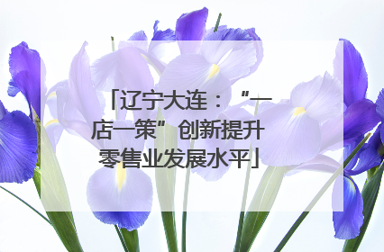 辽宁大连：“一店一策”创新提升零售业发展水平