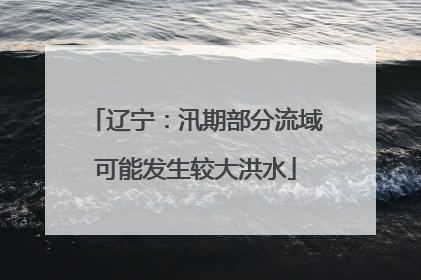 辽宁：汛期部分流域可能发生较大洪水