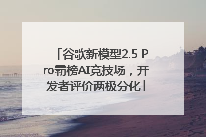谷歌新模型2.5 Pro霸榜AI竞技场，开发者评价两极分化